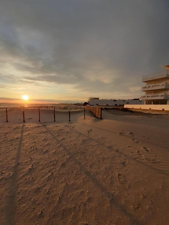 T2-3 Cabine Les Yuccas 200 M Plage Du Boucanet Rive Droite Grau Du Roi Ideal 2-4 Pers Lägenhet Le Grau-du-Roi Exteriör bild